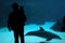Awe-inspiring encounter: Father and baby mesmerized by dolphin at aquarium