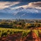 Awe-inspiring Landscape in Mendoza: Andes Mountains, Vineyard, and Plaza Independencia