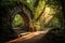 An awe-inspiring stone arch nestled amidst the lush greenery of a forest, transporting you to another time, A sun-dappled forest