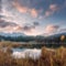 Awesome alpine highlands in sunny morning with fog. Scenic image of fairytale alps valley with fresh grass under sunlit. colorful