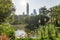 Awesome flamingos on Bird Lake at Kowloon Park, Hong Kong