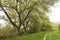 Awesome Green Sceneries of Natural Reserve of Ciane River in Syracuse, Sicily, Italy.