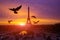 Awesome incredible pink-orange-lilac sunrise. View of the Eiffel