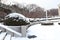 awesome nature snow in Seoul Park south korea