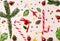 Awesome party inspired concept. Lovely christmas pattern made of candy canes, pine cone, pine branches, red berries, colorful