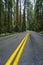 Awesome street view in the Redwood National Park - red cedar trees