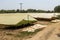 Awnings for drying tobacco Nicotiana tabacum in the foothills