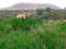 Awsome view from above of  the mountain and the palm tree valley in the oasis of Figuig