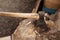 The ax is stabbed with a blade into the stump. Ax with wooden handle.