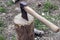 The ax is stabbed with a blade into the stump. Ax with wooden handle