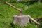 An axe at close range against a background of blurred trees.Harvesting of firewood.