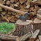 Axe for firewood splitting