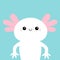 Axolotl. Mexican salamander. White axolotyl. Ambysoma mexicanum. Water dragon. Cute cartoon kawaii funny smiling baby character.