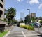 Ayala avenue with palm trees at the Manila city in Philippines