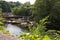 Aysgarth falls near Yore Mill in North Yorkshire where the river Ure runs over rock ledges.