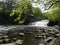 Aysgarth Falls - Wensleydale - Yorkshire Dales