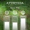 Ayurveda vector illustration. Ayurvedic body types.