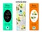 Ayurvedic herbs banners. Bala sida cordifolia