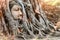 Ayutthaya Buddha Head statue with trapped in Bodhi Tree roots at