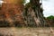 Ayutthaya Buddha Head statue with trapped in Bodhi Tree roots at