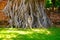 Ayutthaya, Thailand, 11 September 2020: Buddah head statue in the tree root, the famous place in Ayutthaya Thailand,signature