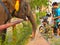 AYUTTHAYA THAILAND-28 FEBRUARY 2019:Ayutthaya Elephant Palace & Royal Kraal Father and son are feeding bananas that are bananas.on