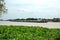 Ayutthaya / Thailand - August 4 2018: Cargo ship in a river. In Chao Phraya River, Ayutthaya Thailand