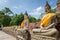 Ayutthaya Thailand, Buddha statues