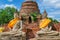 Ayutthaya (Thailand), Buddha statues in an old temple