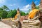 Ayutthaya (Thailand), Buddha statues in an old temple