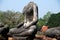 Ayutthaya, Thailand: Headless Buddha Statue