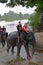 Ayutthaya, Thailand - Nov 14, 2015 : Tourists attend elephant bath training