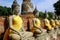 Ayutthaya, Thailand: Seated Buddhas