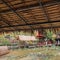 Ayutthaya, Thailand - Sep22, 2019: view from under thatched roof to outdoors