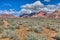 AZ-Grand Canyon National Park-S Rim-Tonto Trail West