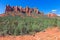 AZ-Sedona-Soldier Pass Trail.