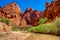 AZ-UT-Paria Canyon-Vermillion Cliffs Wilderness-Paria River Canyon