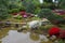 Azalea  blossom  and pond  in Japanese  Garden