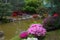 Azalea  blossom  and pond  in Japanese  Garden