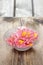 Azalea flowers in glass bowl on wooden background.