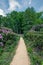 Azalea and Rhododendron Park in Kromlau, saxony