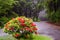 Azaleas bloom with fog the forest background