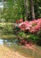 Azaleas at Callaway Gardens