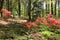 Azaleas at Callaway Gardens