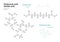 Azelaic and Hyaluronic acid. HA Hyaluronan. Structural Chemical Formula and Line Model of Molecule. Vector