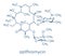 Azithromycin antibiotic drug macrolide class molecule. Skeletal formula.