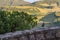 Azorean chaffinch (Fringilla coelebs moreletti) on stone wall and blur landscape in background, São Miguel PORTUGAL