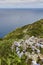 Azores coastline landscape in Flores island. Ilheu de Monchique. Portugal