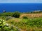 Azores ilslands seascape and green valley Portugal