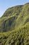 Azores landscape in Flores island. Green lush vegetation. Portugal